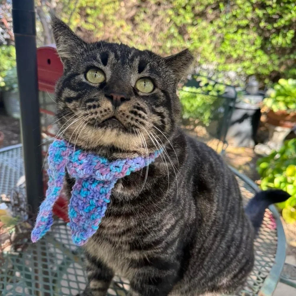 Adorable Handmade Blue and Purple Cat / Dog Scarf